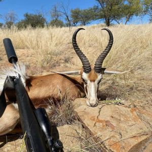 Safaris 2024 (26).jpg