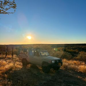 Safaris 2024 (3).jpg