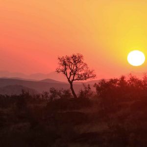 T&M bearbeitet-43.jpg