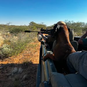 Safaris 2024 (13).jpg