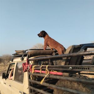 Safaris 2024 (27).jpg