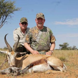 Springbok_kalahari Kopie.jpg