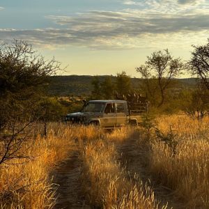 Safaris 2024 (18).jpg