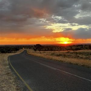 Safaris 2024 (19).jpg