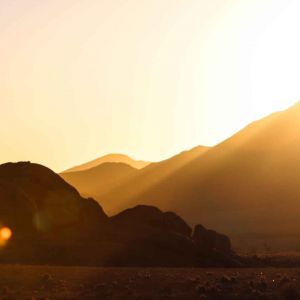 T&M bearbeitet-4.jpg