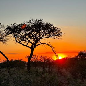 Safaris 2024 (16).jpg