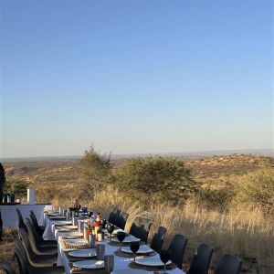 Safaris 2024 (20).jpg