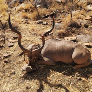 Safaris 2024 (28).jpg